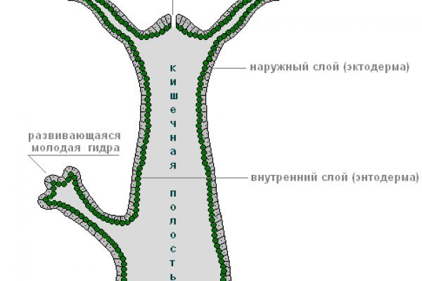 Рабочая ссылка на кракен