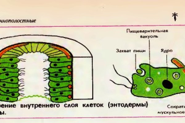 Кракен даркнет зеркало пв