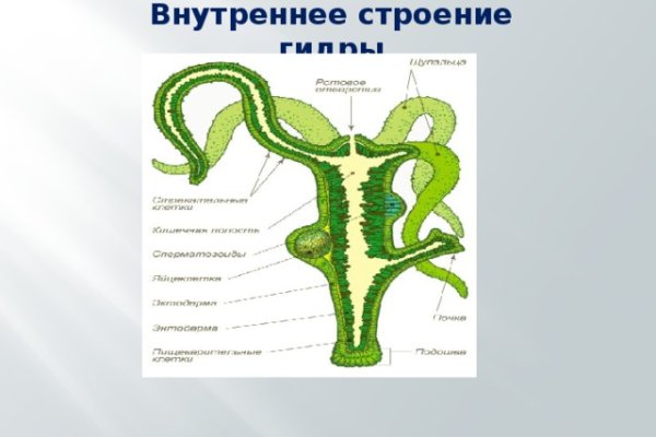 Что такое кракен магазин