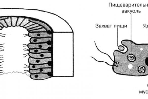 Kra39.cc